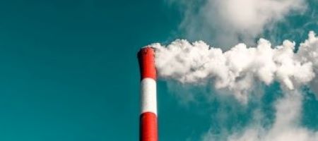 Risearth, una start-up di giovani per aiutare a combattere il cambiamento climatico