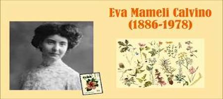 Dalla botanica al movimento ambientalista, Eva Mameli Calvino