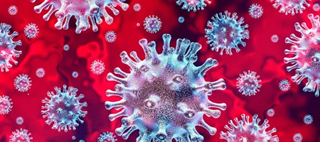 Nota sull’attuale ondata epidemica di COVID-19