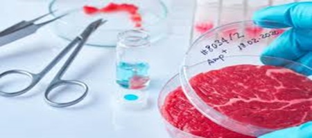 Legge e carne (sintetica) ai ferri … corti