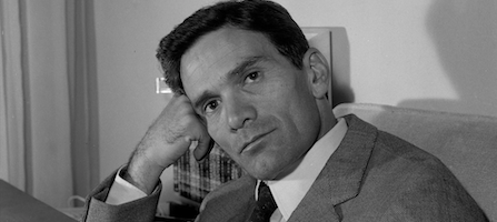 Ragione e Sentimento … ok. Ma l’intelligenza?