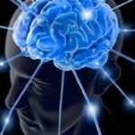 mente
